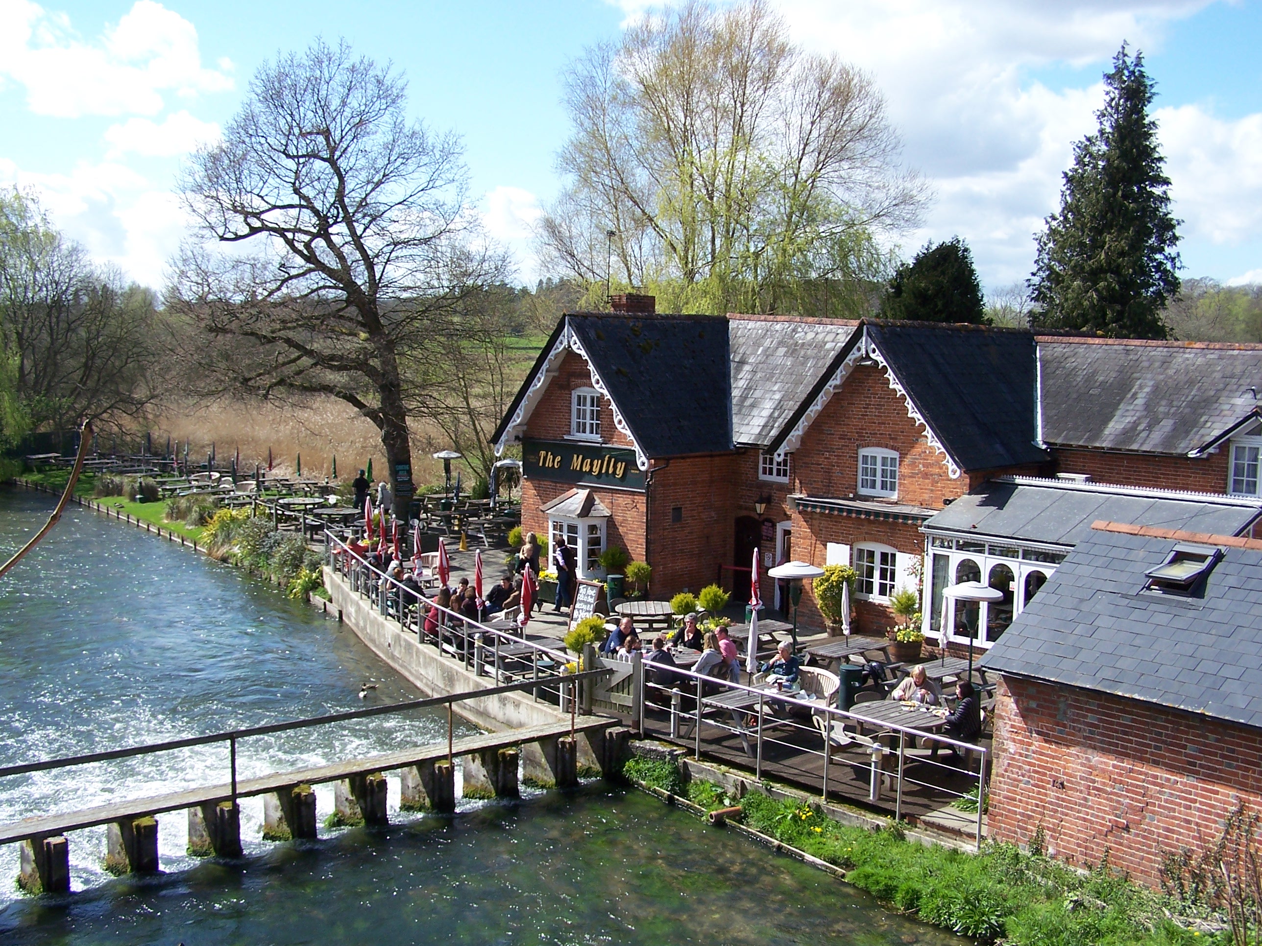 A Gallery of Needle Tree Locations